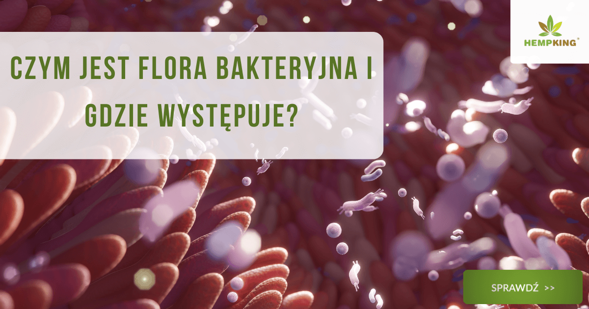 Czym jest flora bakteryjna i gdzie występuje? - obrazek wyróżniający