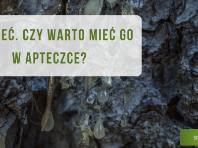 Dziegieć. Czy warto mieć go w swojej apteczce? - obrazek wyróżniający