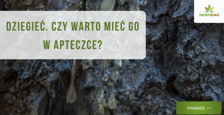 Dziegieć. Czy warto mieć go w swojej apteczce? - obrazek wyróżniający