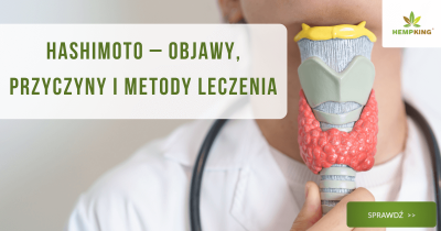 Hashimoto – objawy, przyczyny i metody leczenia - obrazek wyróżniający