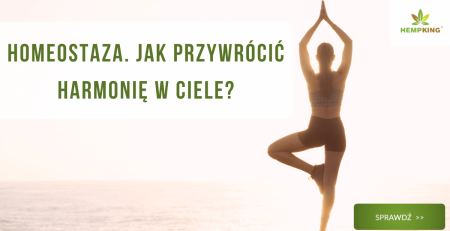 Homeostaza, jak przywrócić równowagę w ciele - obrazek wyróżniający