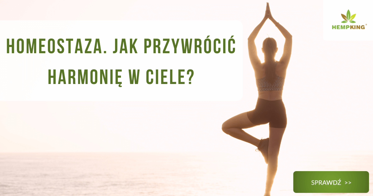 Homeostaza, jak przywrócić równowagę w ciele - obrazek wyróżniający