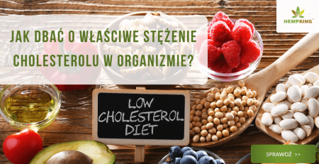 Jak dbać o właściwe stężenie cholesterolu w organizmie? - obrazek wyróżniający