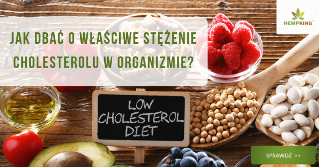 Jak dbać o właściwe stężenie cholesterolu w organizmie? - obrazek wyróżniający