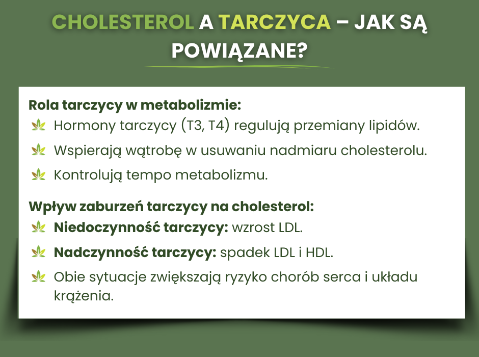 Cholesterol a tarczyca - jak są powiązane? - infografika