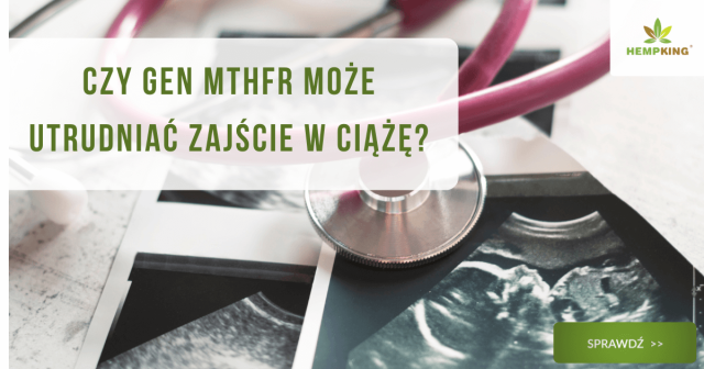 Czy gen MTHFR może utrudniać zajście w ciążę? - obrazek wyróżnijący