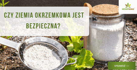 Czy ziemia okrzemkowa jest bezpieczna? - obrazek wyróżniający