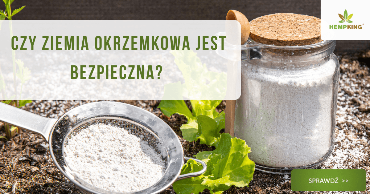 Czy ziemia okrzemkowa jest bezpieczna? - obrazek wyróżniający