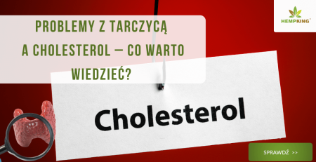 Problemy z tarczycą a holesterol - co warto wiedzieć? - obrazek wyróżnijący