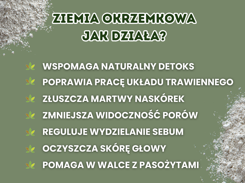 Ziemia okrzemkowa jak działa? - infografika