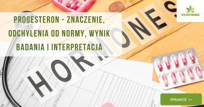 Progesteron - znaczenie, odchylenia od normy, wynik badania i interpretacja - obrazek wyróżniający