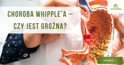 Choroba Whipple'a - czy jest groźna? - obrazek wyróżniający