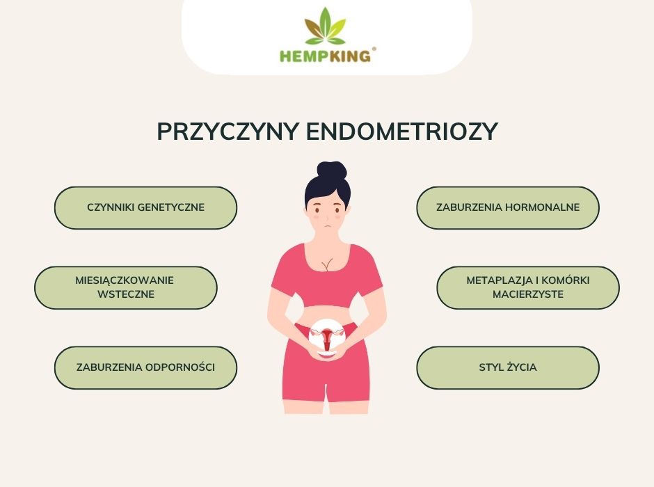 Przyczyny endometriozy - infografika