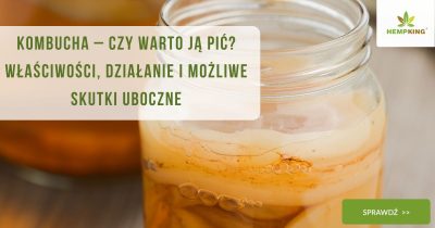 Kombucha–czy warto ją pić Właściwości, działanie i możliwe skutki uboczne - obrazek wyróżniający