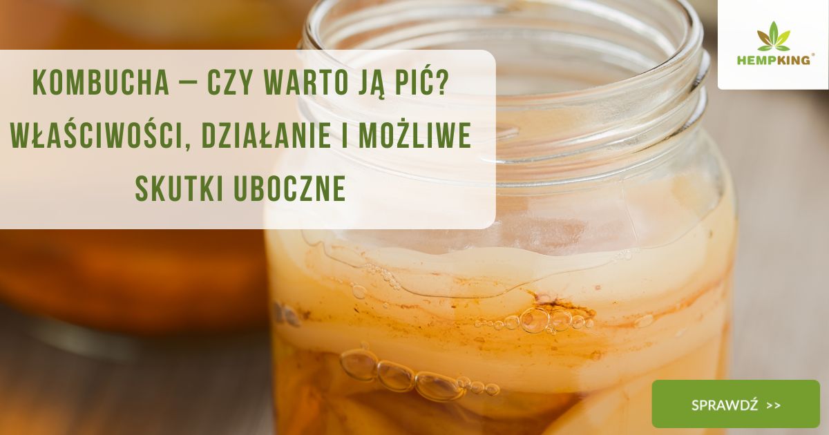 Kombucha–czy warto ją pić Właściwości, działanie i możliwe skutki uboczne - obrazek wyróżniający