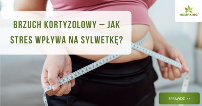 Brzuch kortyzolowy – jak stres wpływa na sylwetkę? - obrazek wyróżniający