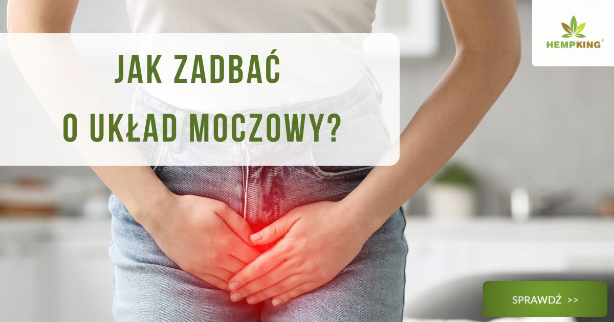 Jak zadbać o układ moczowy? - obrazek wyróżniający