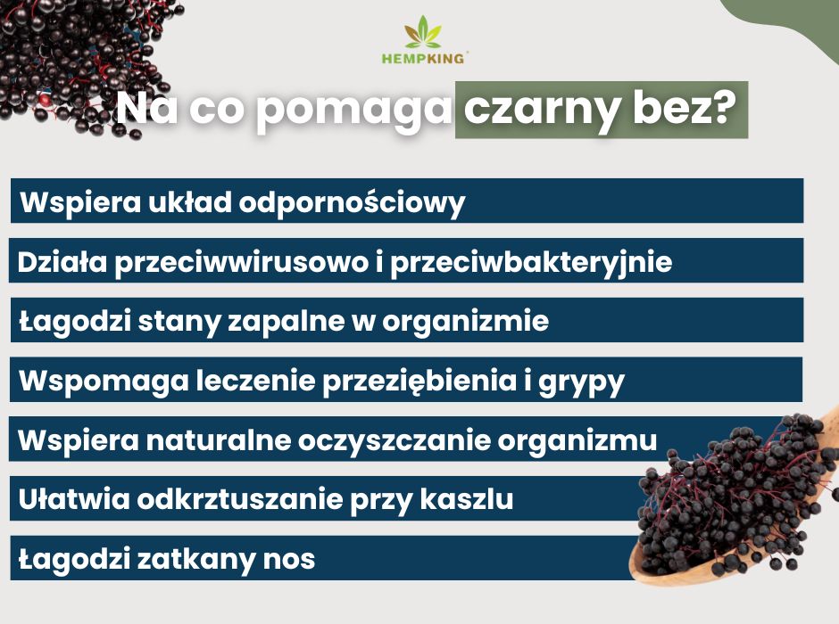 Na co pomaga czarny bez - infografika