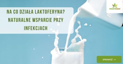 Na co działa laktoferyna Naturalne wsparcie przy infekcjach - obrazek wyróżniający
