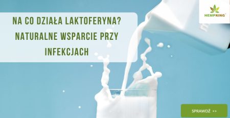 Na co działa laktoferyna Naturalne wsparcie przy infekcjach - obrazek wyróżniający