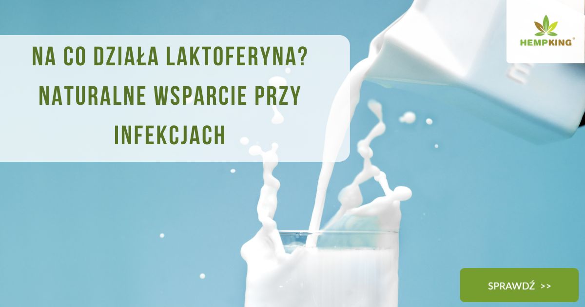 Na co działa laktoferyna Naturalne wsparcie przy infekcjach - obrazek wyróżniający