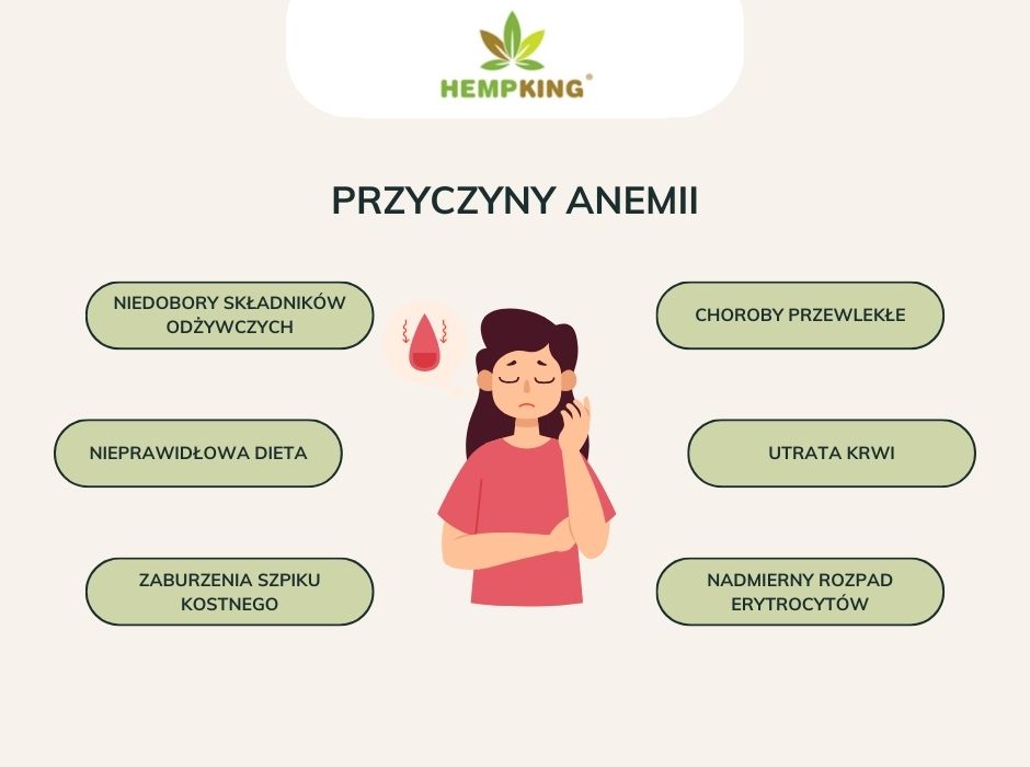 Przyczyny anemii - infografika