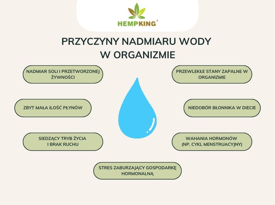 Przyczyny nadmiaru wody w organizmie - infografika