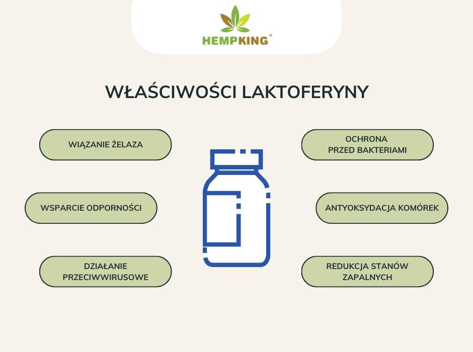 Właściwości laktoferyny - infografika