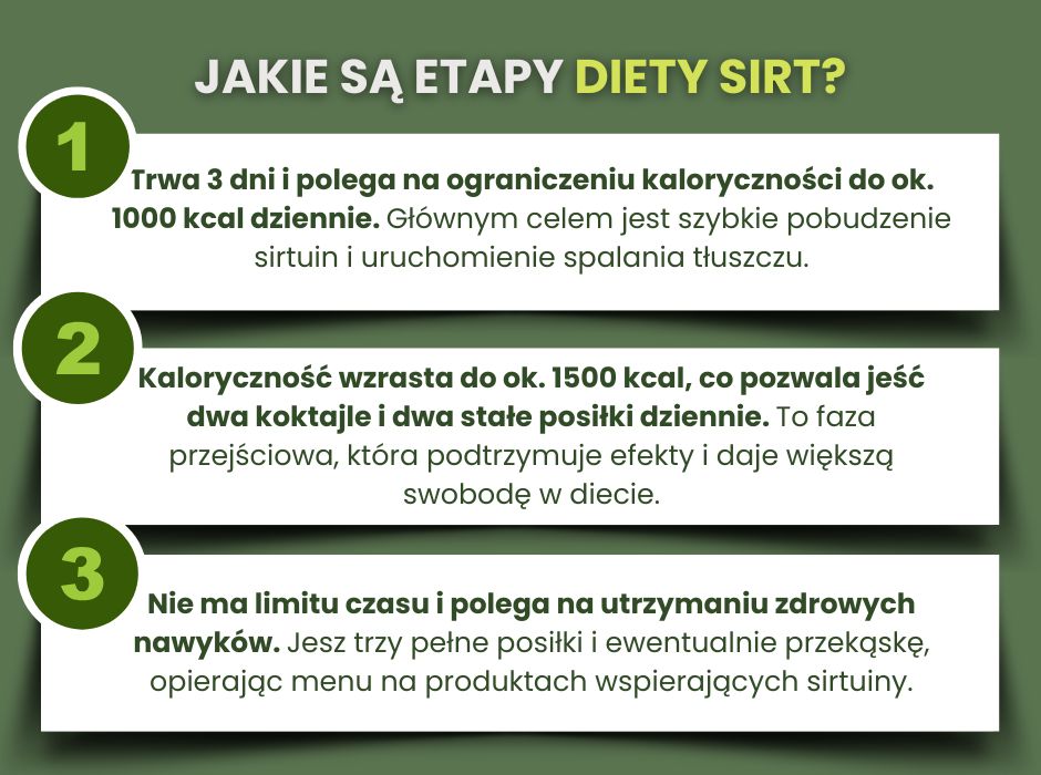 Etapy diety sirt - infografika