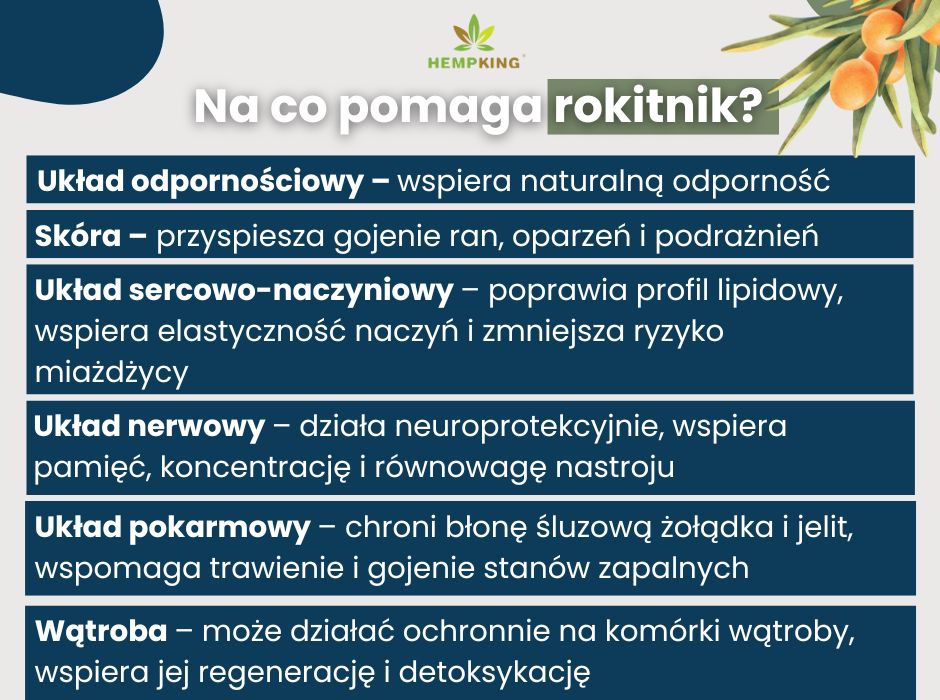 Na co pomaga rokitnik - infografika