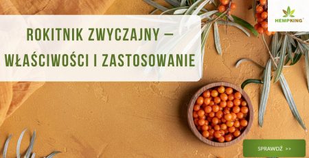 Rokitnik zwyczajny właściwości i zastosowanie - obrazek wyróżniający