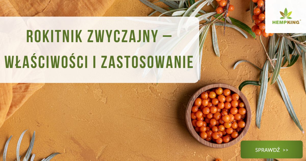 Rokitnik zwyczajny właściwości i zastosowanie - obrazek wyróżniający