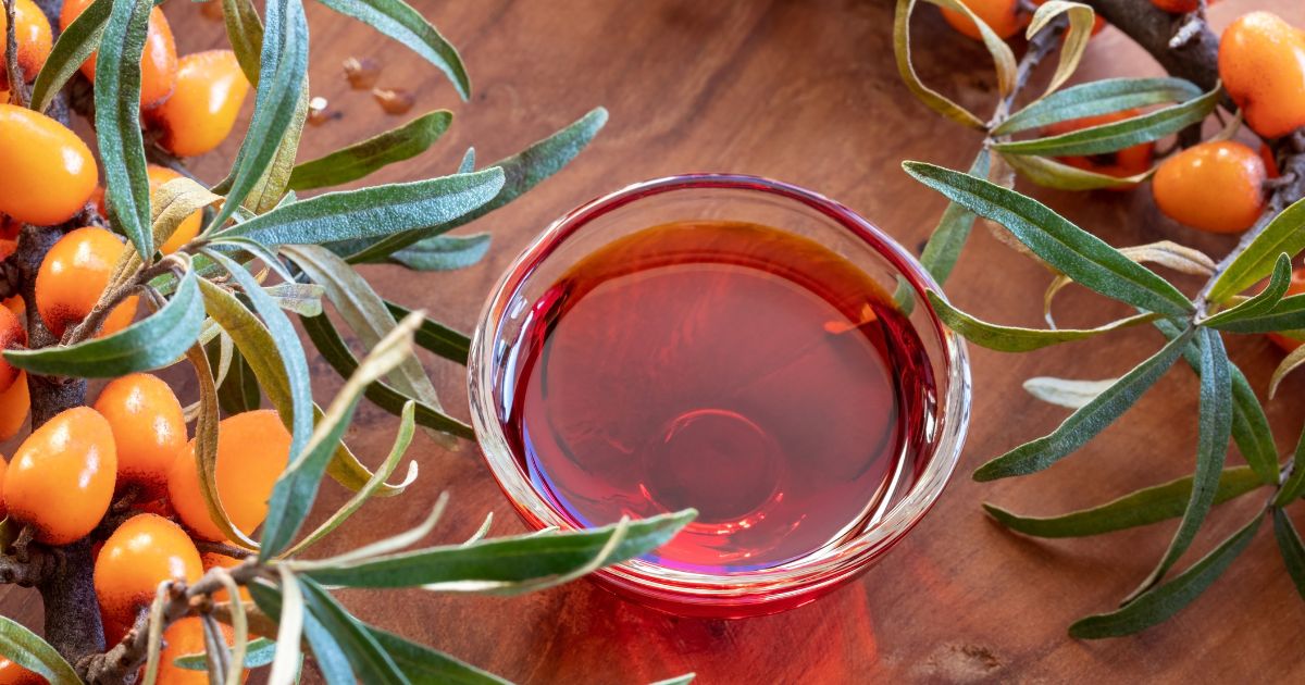 Rokitnik - zdjęcie poglądowe