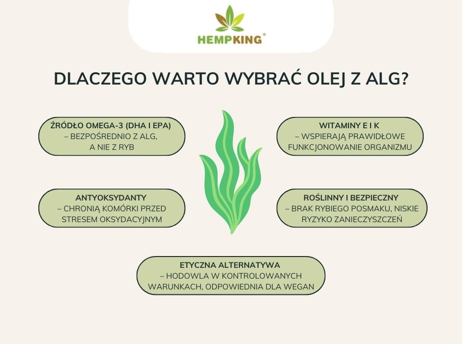 Dlaczego warto wybrać olej z alg - infografika