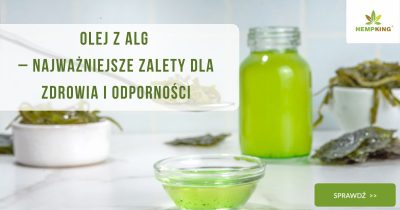 Olej z alg–najważniejsze zalety dla zdrowia i odporności - obrazek wyróżniający