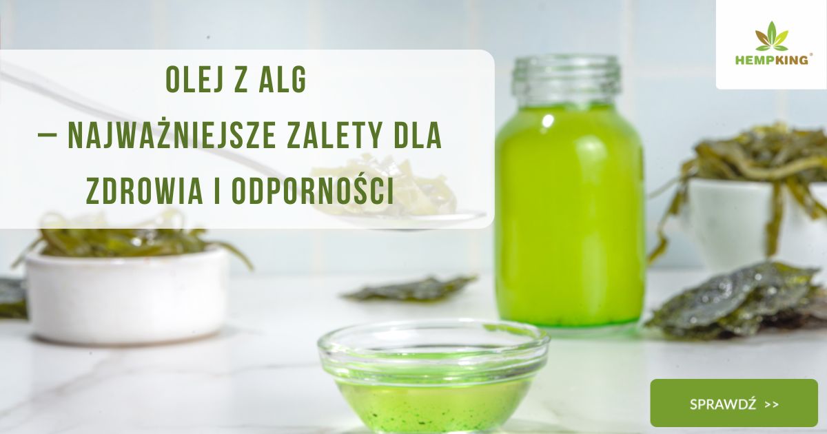 Olej z alg–najważniejsze zalety dla zdrowia i odporności - obrazek wyróżniający