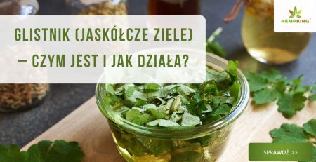 Glistnik (jaskółcze ziele) – czym jest i jak działa? - obrazek wyróżniający