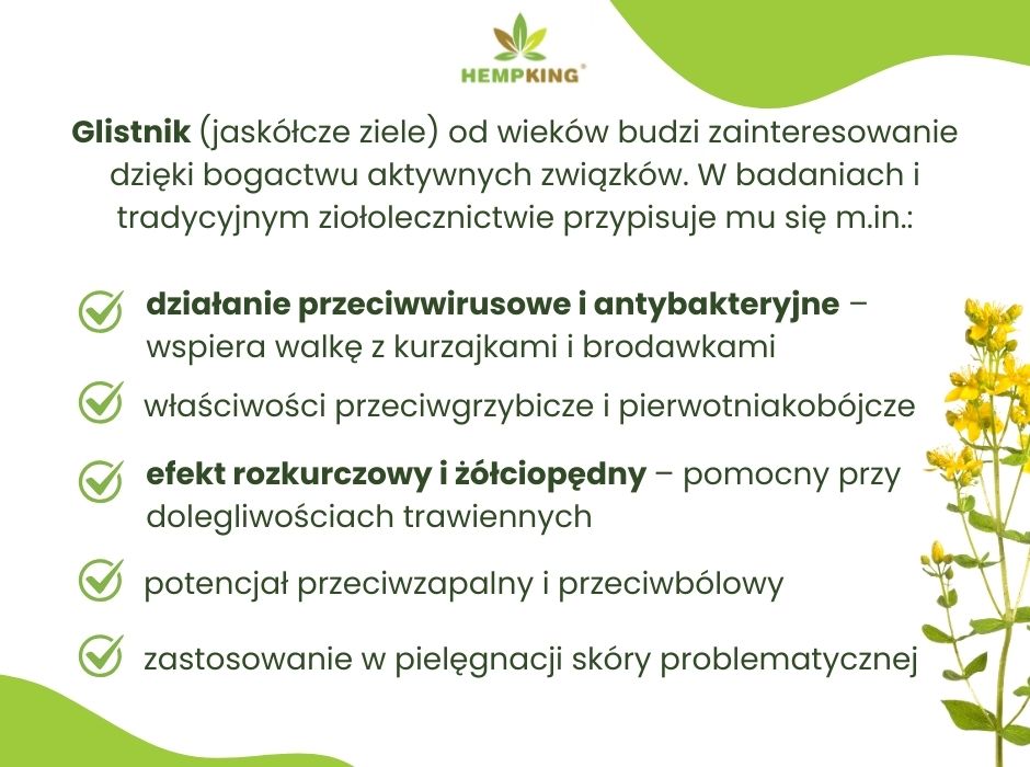 Jaskółcze ziele - na co działa? - infografika