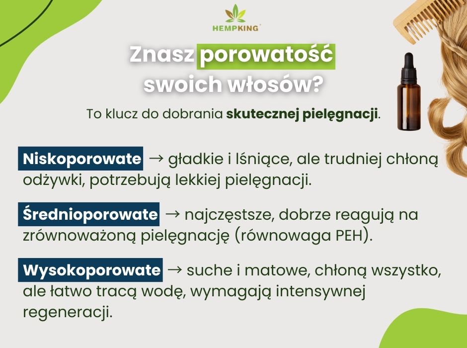 Porowatość włosów - infografika
