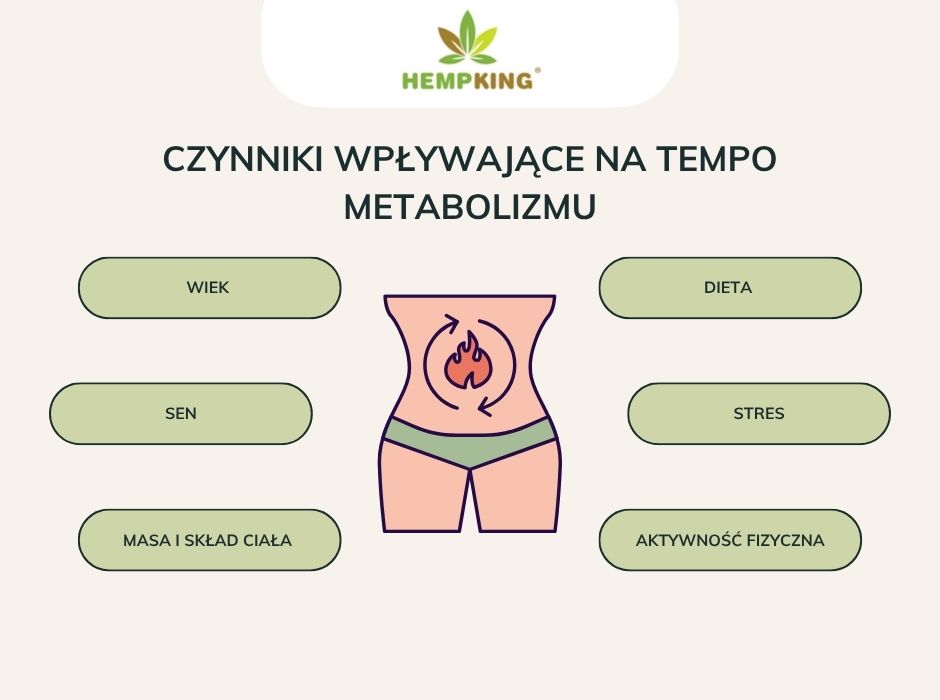 Czynniki wpływające na tempo metabolizmu - infografika