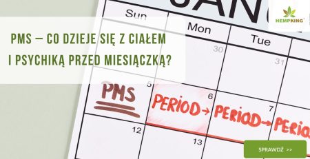 PMS–co dzieje się z ciałem i psychiką przed miesiączką - obrazek wyróżniający