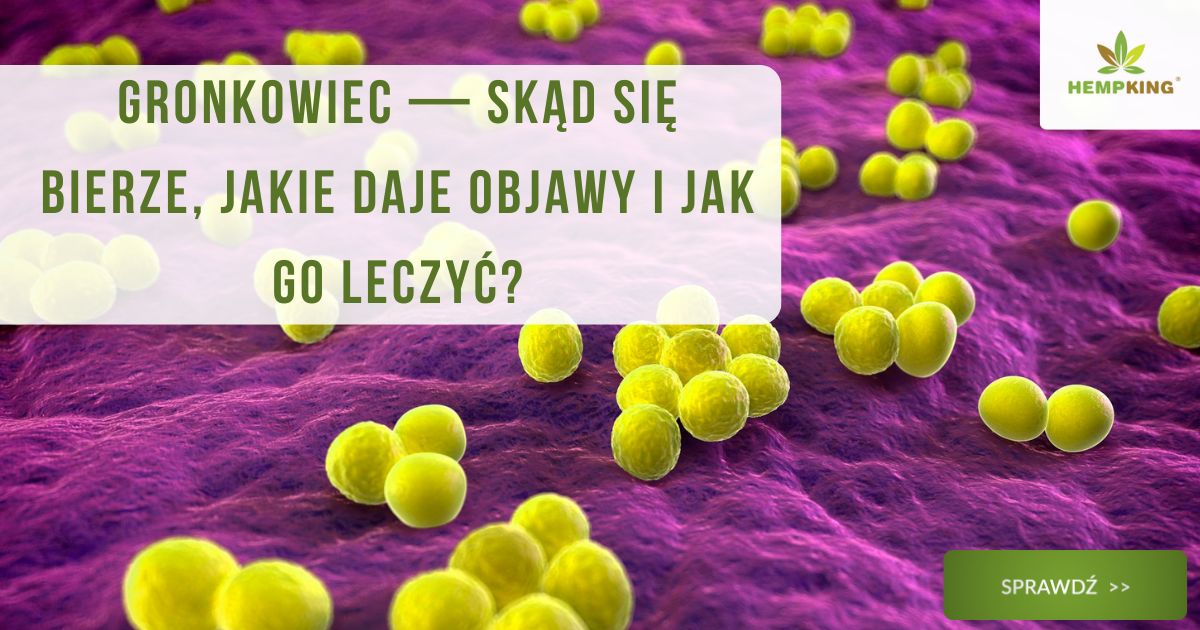 Gronkowiec — skąd się bierze, jakie daje objawy i jak go leczyć? - obrazek wyróżniający