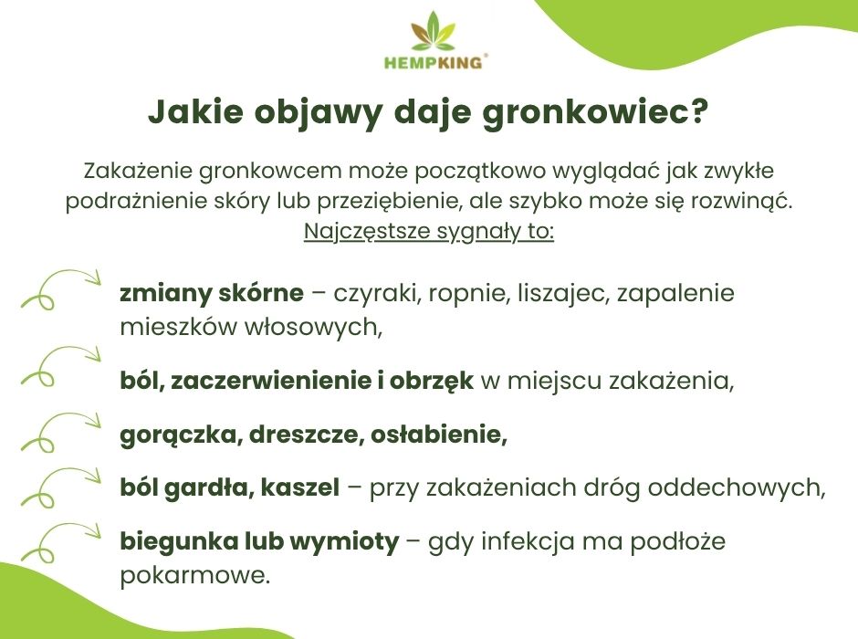 Gronkowiec objawy - infografika