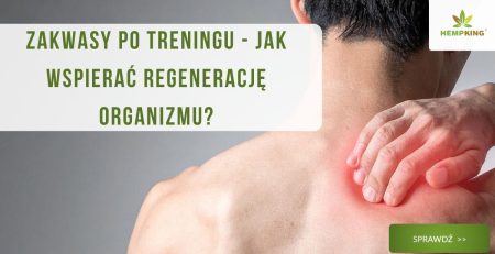 Zakwasy po treningu - jak wspierać regenerację organizmu? - obrazek wyróżniający