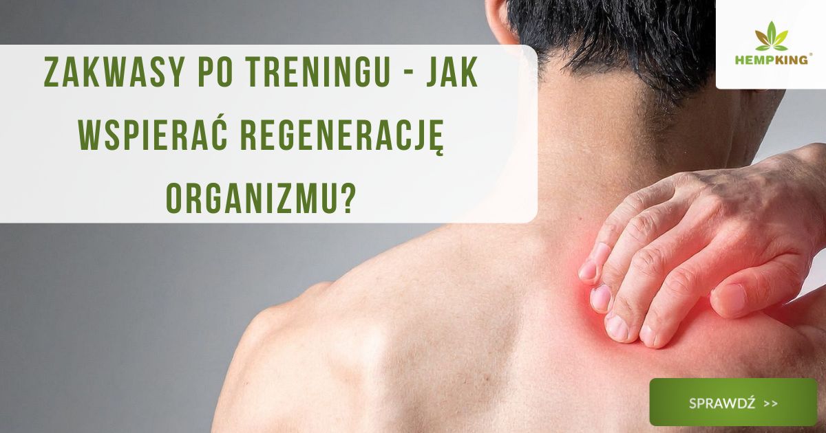 Zakwasy po treningu - jak wspierać regenerację organizmu? - obrazek wyróżniający