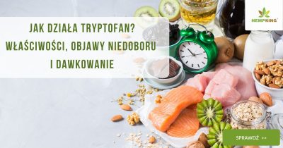 Jak działa tryptofan Właściwości, objawy niedoboru i dawkowanie - obrazek wyróżniający