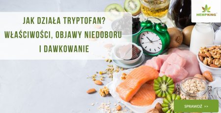 Jak działa tryptofan Właściwości, objawy niedoboru i dawkowanie - obrazek wyróżniający
