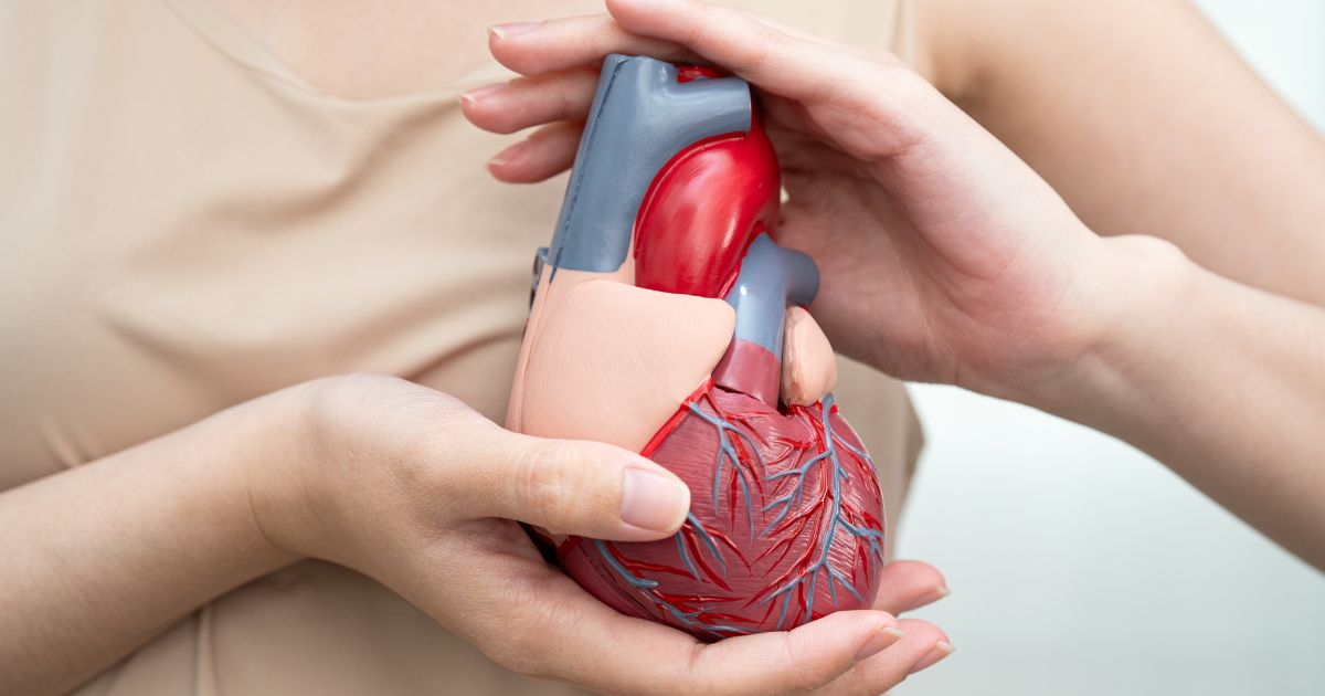 Choroby układu krążenia - zdjęcie poglądowe