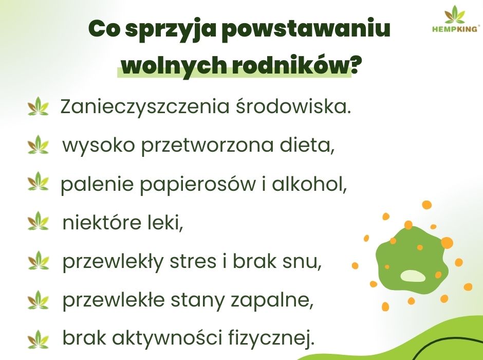 Co sprzyja powstawaniu
wolnych rodników? - infografika