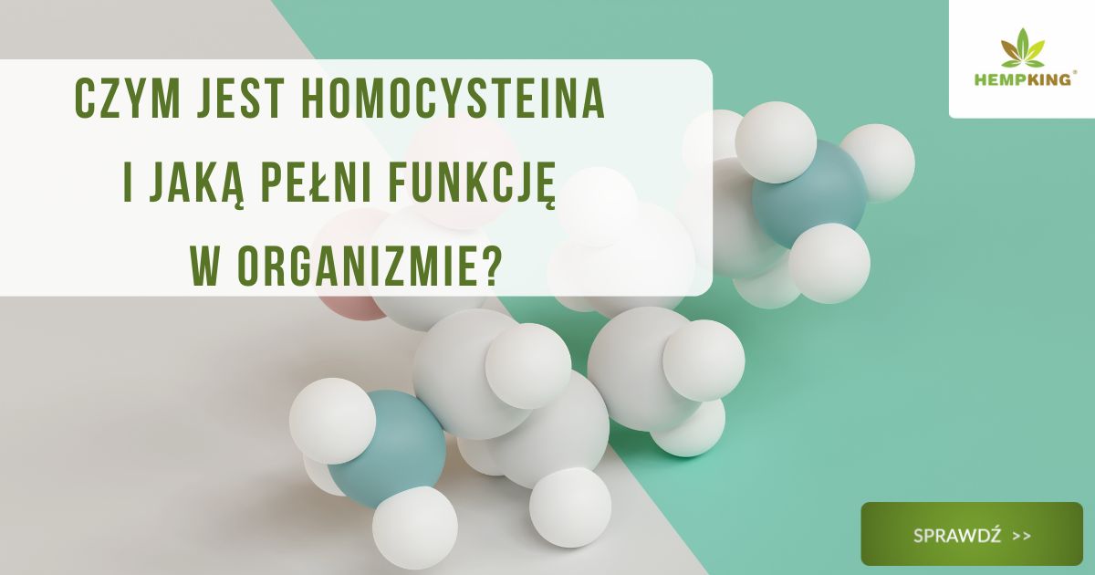 Czym jest homocysteina i jaką pełni funkcję w organizmie? - obrazek wyróżniający